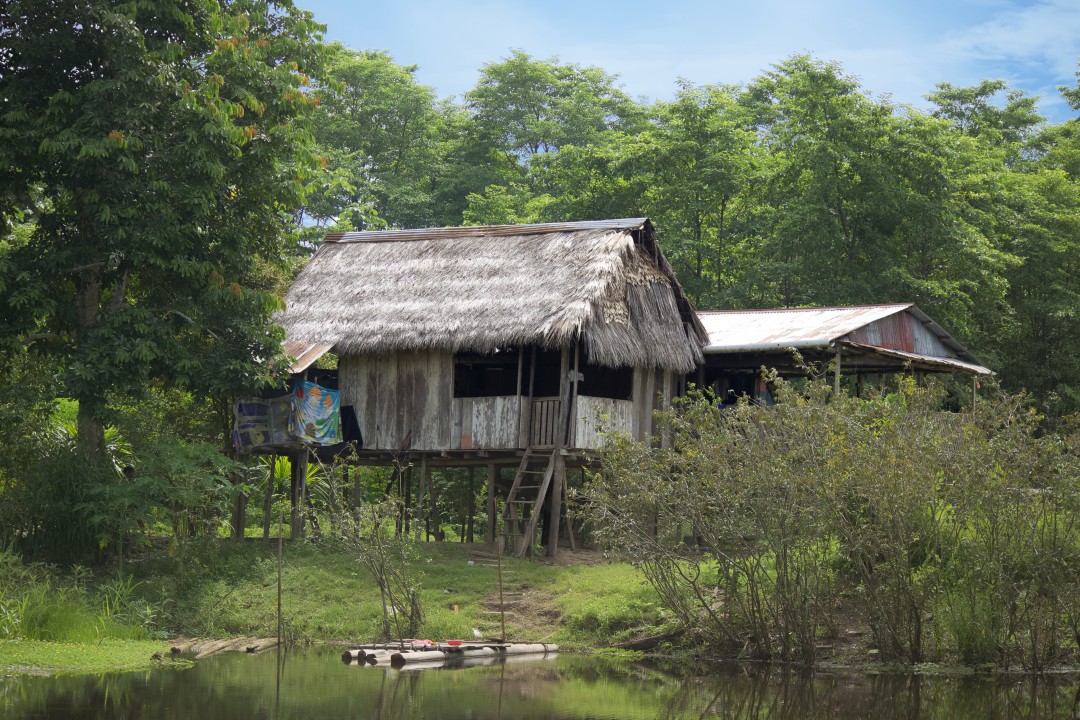 House on Stilts