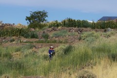 Socaire Farming
