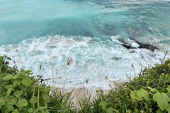 Dreamland Beach