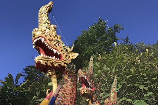 Thai Dragons