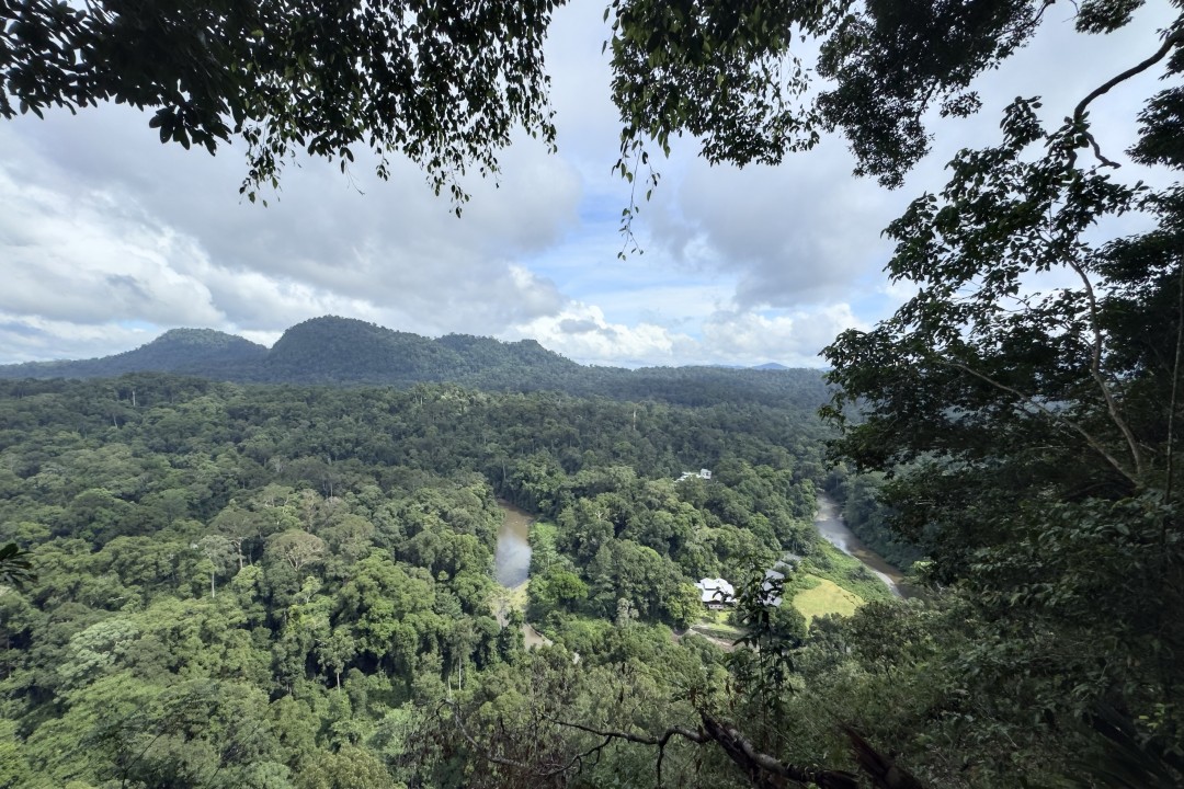 Danum Valley