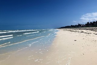 Endless White Sand Beach