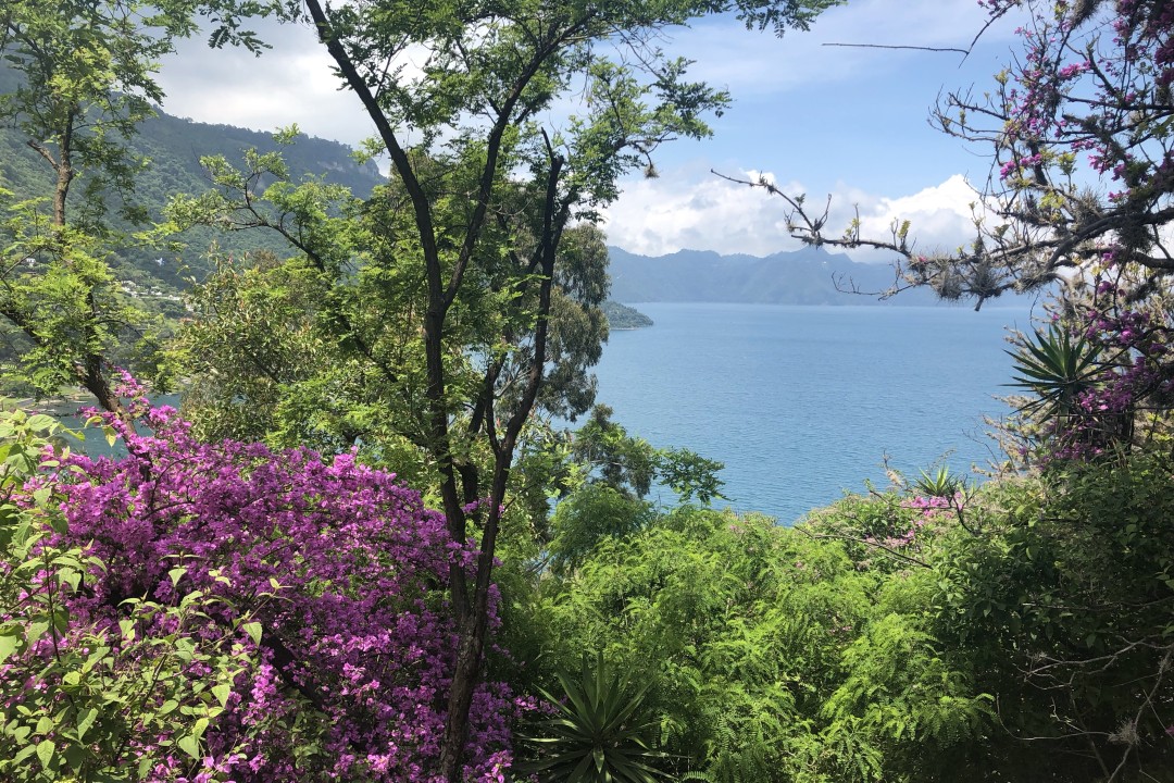 Beautiful View