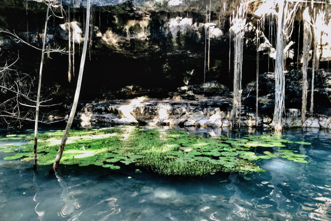 Cenote X'Batun