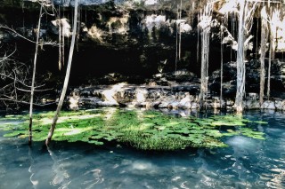 Cenote X'Batun