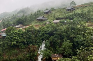 Sapa