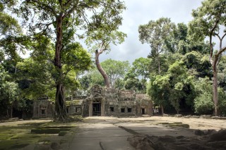 Ta Prohm