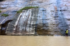 The Narrows