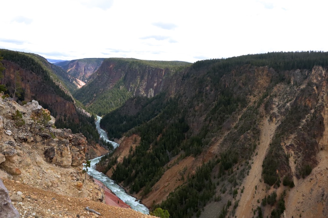The Grand Canyon of Yellowstone